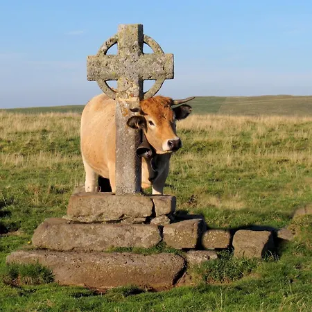 La Belle Aubrac