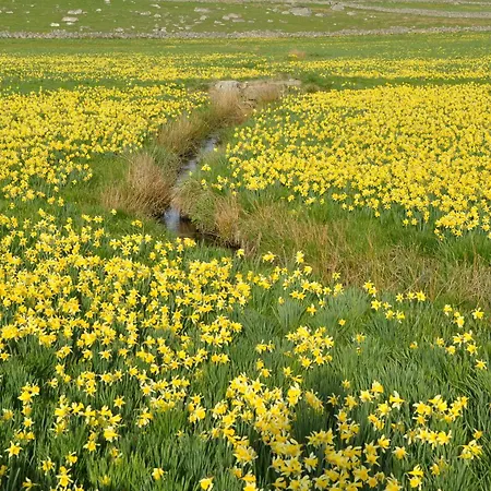 Villa La Belle Aubrac Saint-Côme-dʼOlt