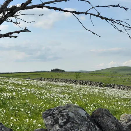 La Belle Aubrac * Saint-Côme-dʼOlt
