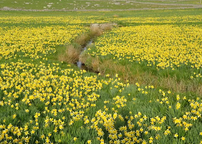 Villa La Belle Aubrac Saint-Côme-dʼOlt