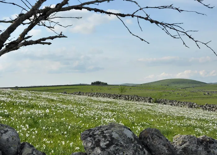 La Belle Aubrac * Saint-Côme-dʼOlt